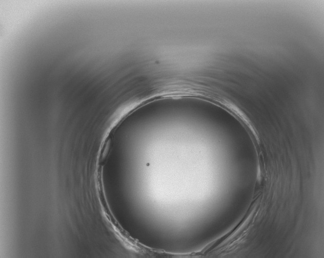 X0000059811485200510281652