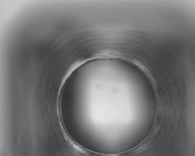 X0000059811486200510281652