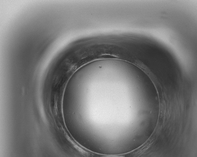 X0000059811487200510281652