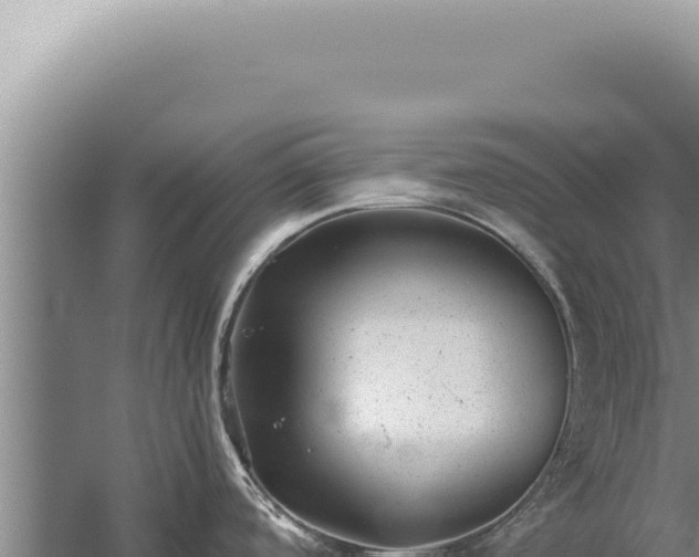 X0000059811488200510281652