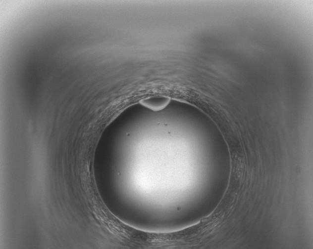 X0000059811489200510281651