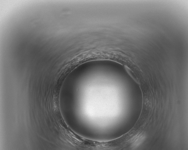 X0000059811490200510281651