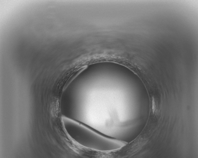 X0000059811492200510281651