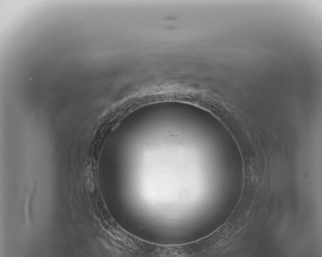 X0000059811493200510281651