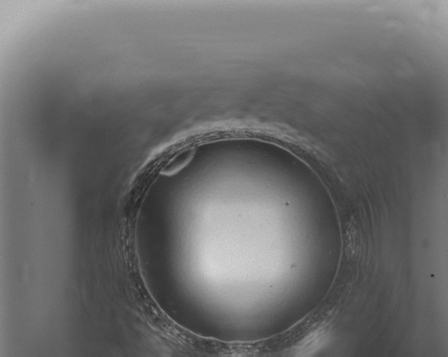 X0000059811494200510281651