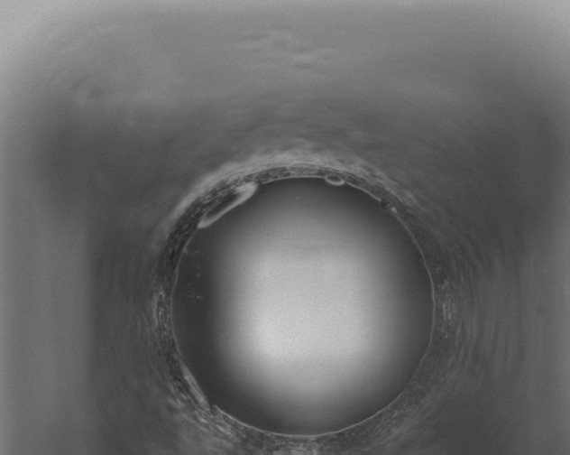 X0000059811495200510281651