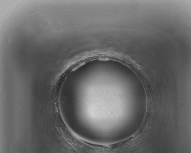 X0000059811496200510281651