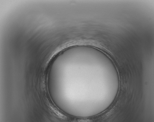 X0000059811498200510281651