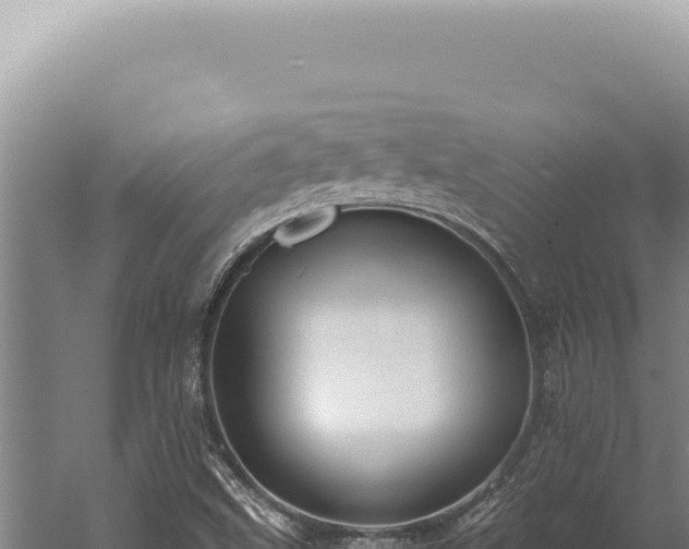 X0000059811499200510281651