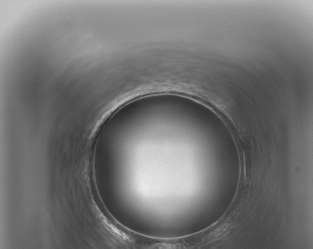 X0000059811500200510281651