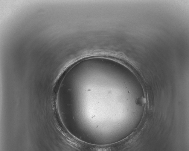 X0000059811501200510281651