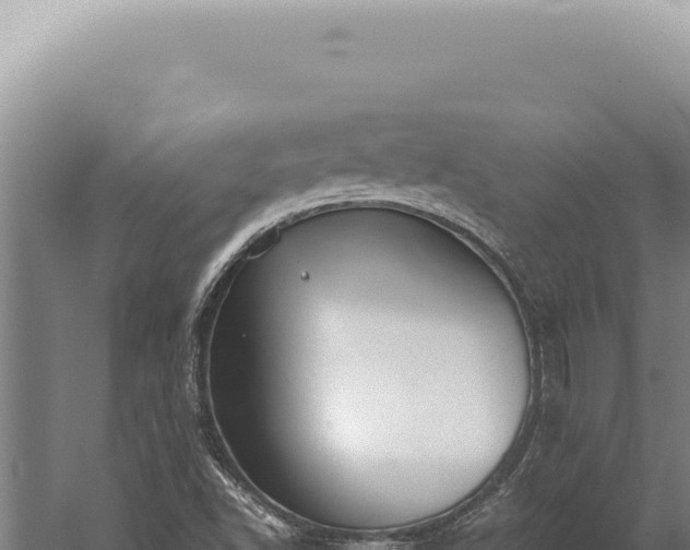 X0000059811502200510281651