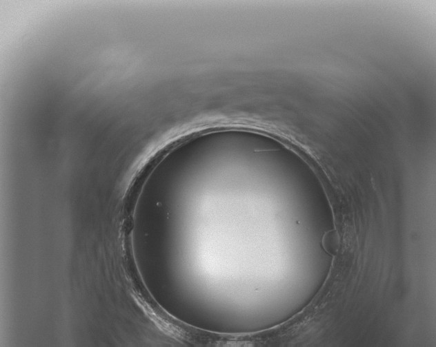 X0000059811503200510281651