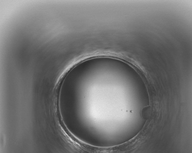 X0000059811504200510281651