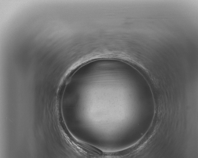 X0000059811506200510281651