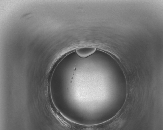 X0000059811507200510281651