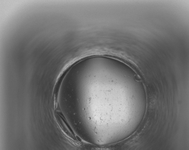 X0000059811509200510281651