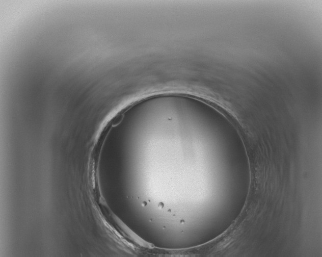 X0000059811510200510281651