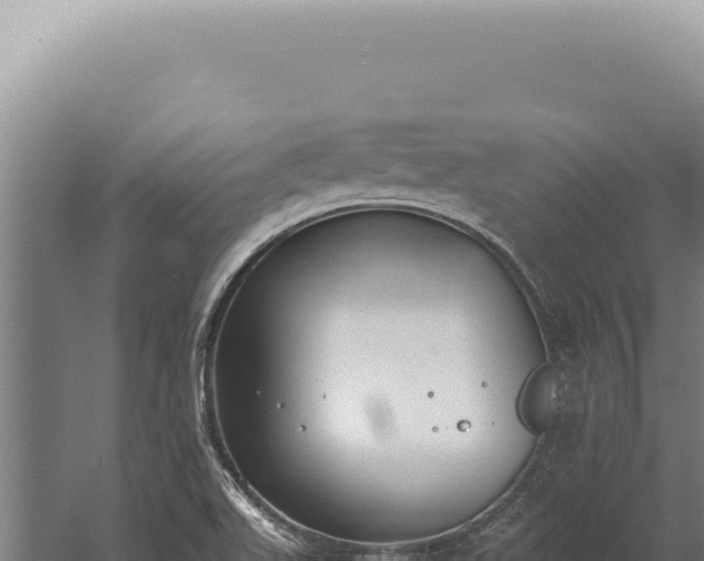 X0000059811511200510281651