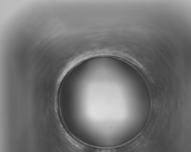 X0000059811512200510281651