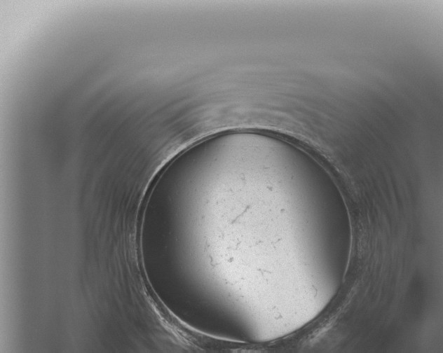 X0000059811513200510281651