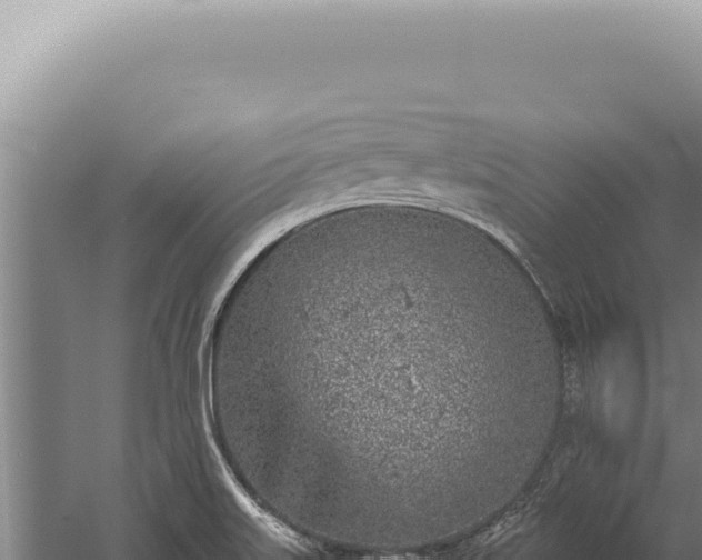 X0000059811515200510281651