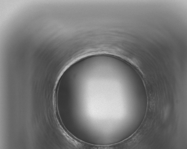 X0000059811516200510281651