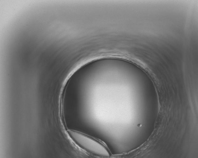 X0000059811520200510281652