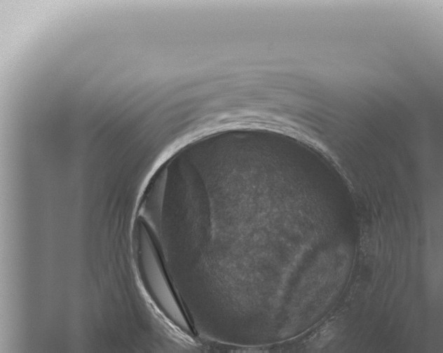 X0000059811522200510281652