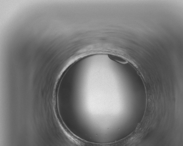 X0000059811523200510281652