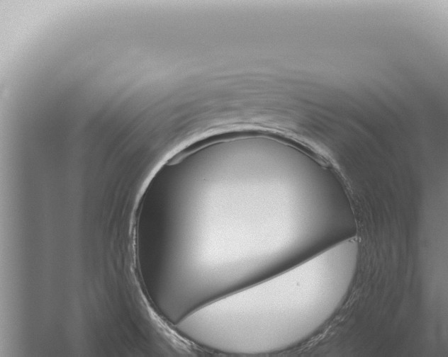 X0000059811524200510281652