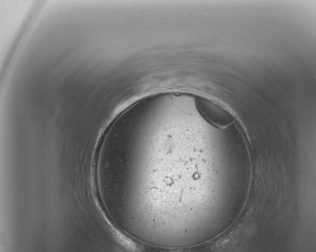 X0000059811525200510281652