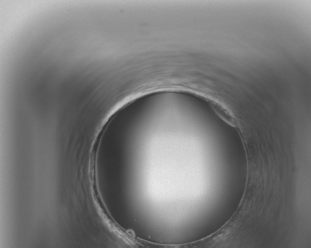 X0000059811526200510281652