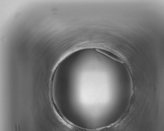 X0000059811528200510281652