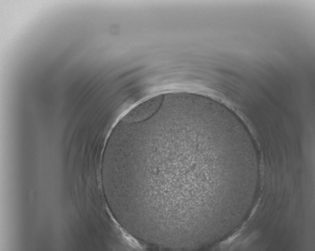 X0000059811529200510281652