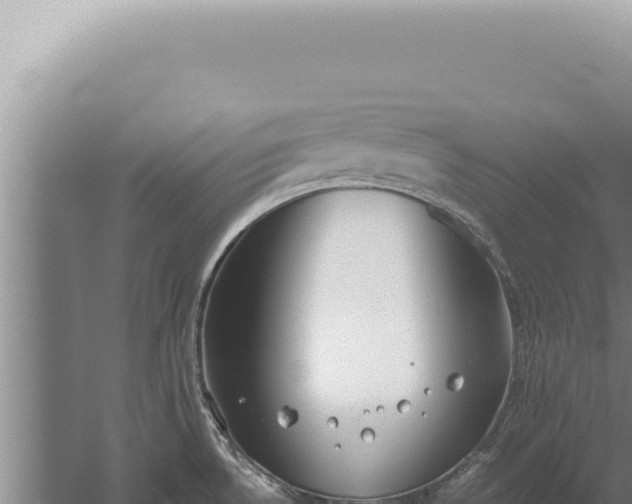 X0000059811530200510281652