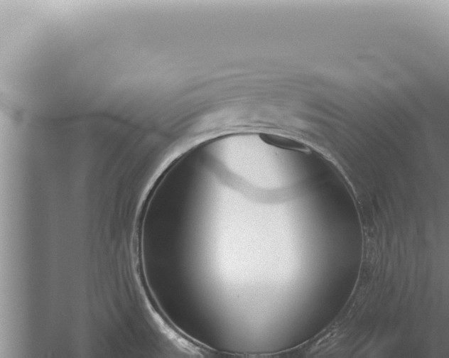 X0000059811531200510281652