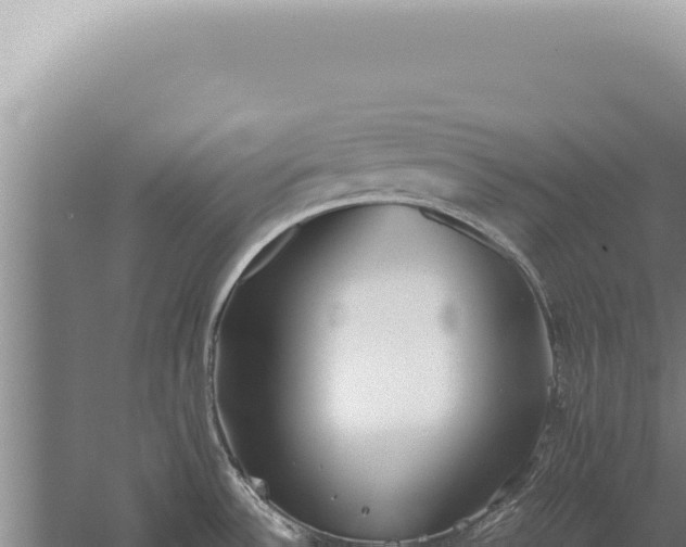 X0000059811532200510281652