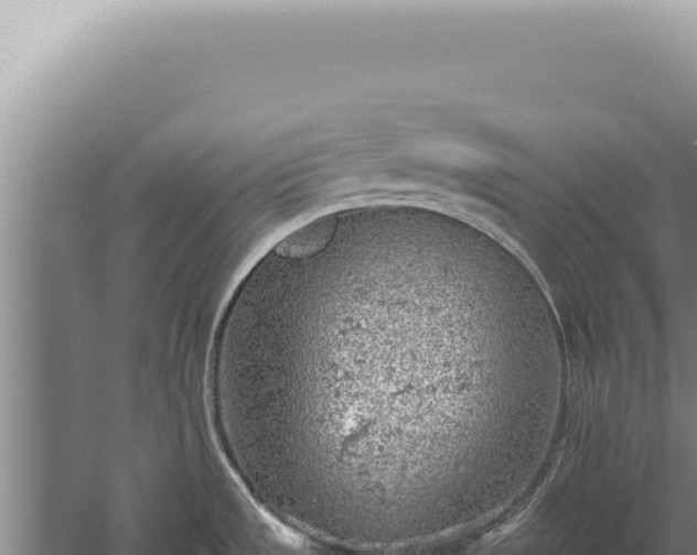 X0000059811533200510281652