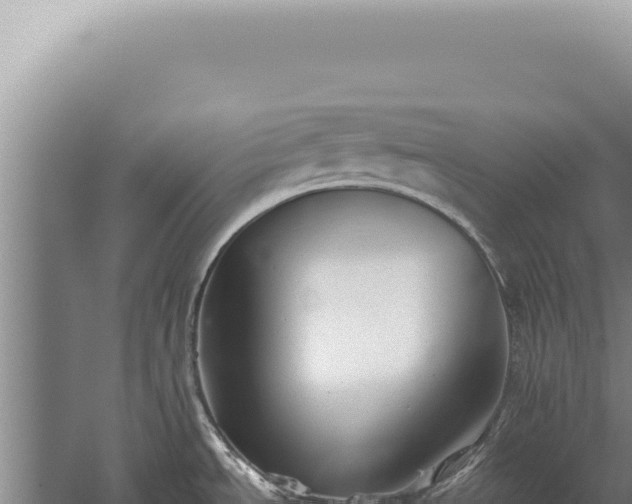 X0000059811534200510281652