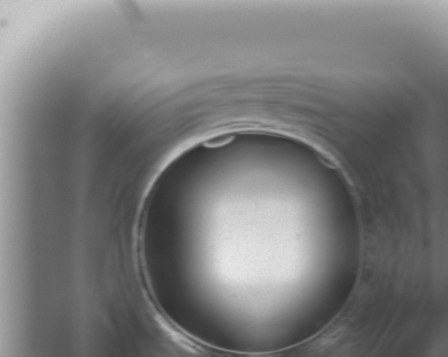 X0000059811535200510281652