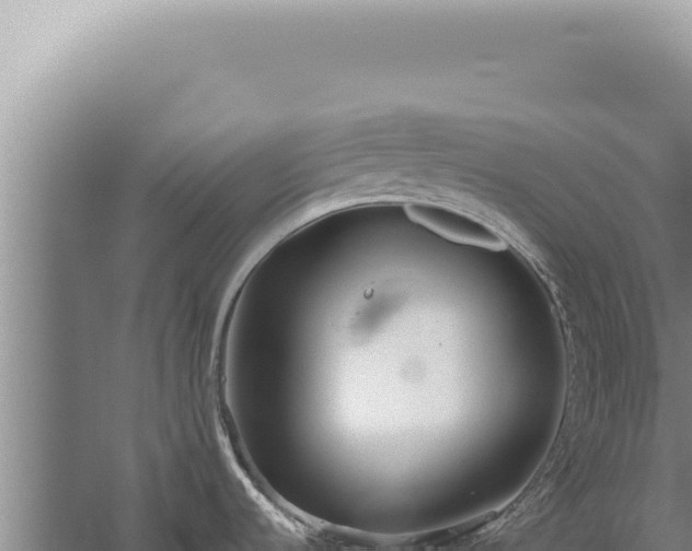 X0000059811536200510281652