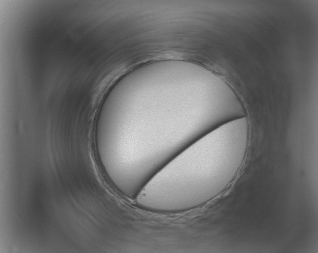 X0000059810001200511041706