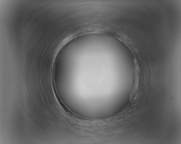 X0000059810003200511041705