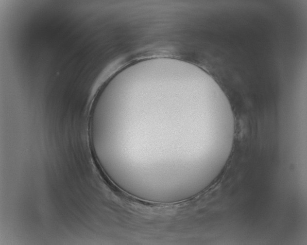 X0000059810004200511041705