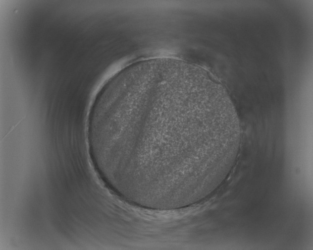 X0000059810006200511041705