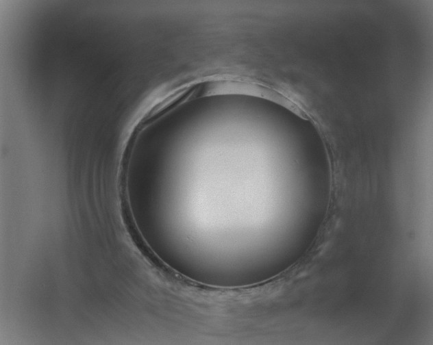 X0000059810007200511041705