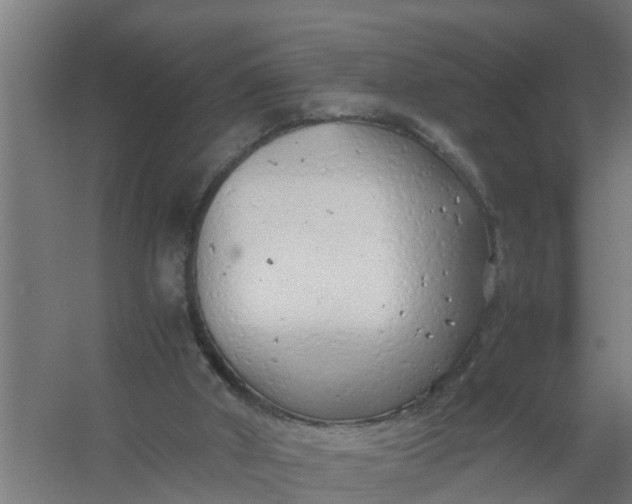 X0000059810010200511041705