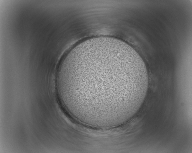 X0000059810012200511041705