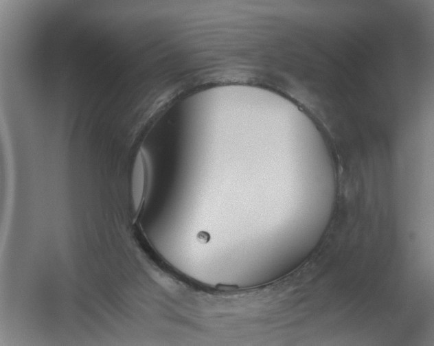 X0000059810013200511041705